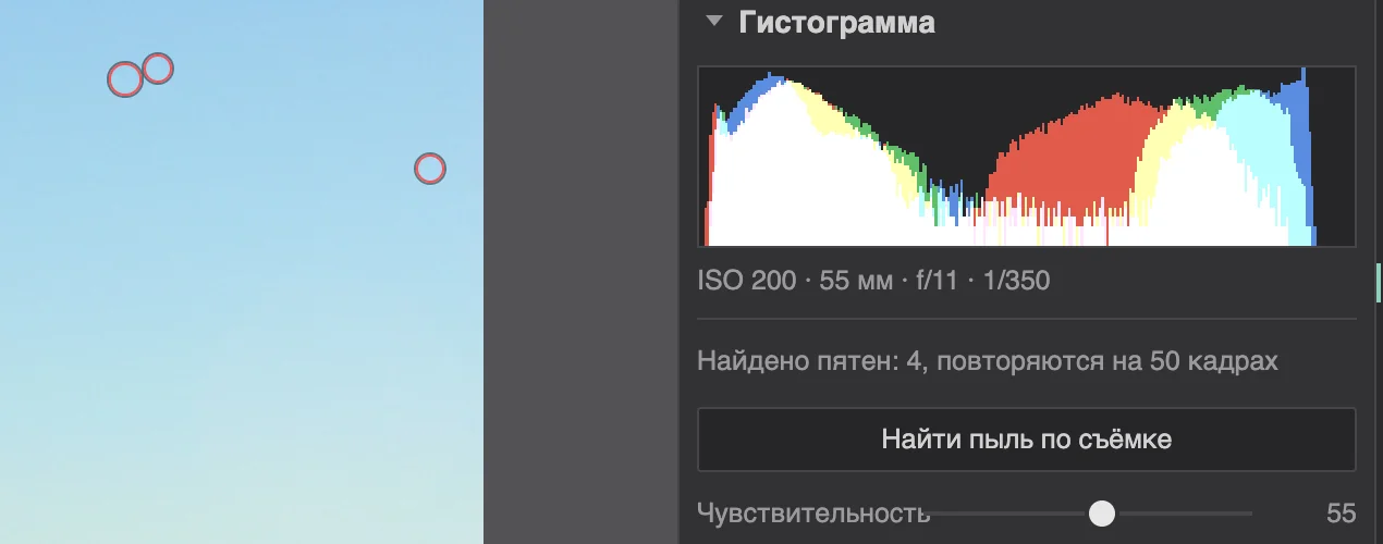 Пятна пыли на небе обведены кружками, рядом строка «Найдено пятен: 4, повторяются на 50 кадрах»